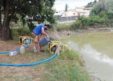 Buidatge de la bassa de can Marturi
