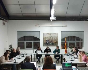 Imatge del ple del 19 de desembre de 2024