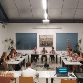 Imatge del ple del 8 de setembre de 2026